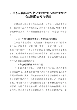 市生态环境局党组书记主题教育专题民主生活会对照检查发言提纲