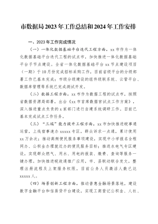 市数据局2023年工作总结和2024年工作安排（20240110）