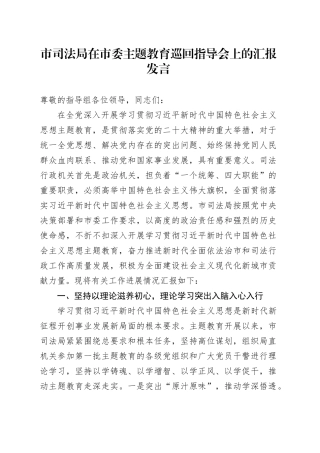 市司法局在市委主题教育巡回指导会上的汇报发言