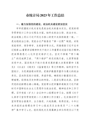 市统计局2023年工作总结