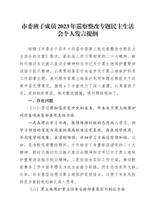 市委班子成员2023年巡察整改专题民主生活会个人发言提纲