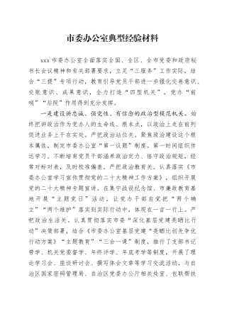 市委办公室典型经验材料