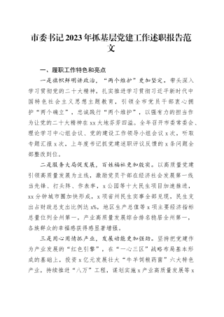 市委书记2023年抓基层党建工作述职报告总结汇报