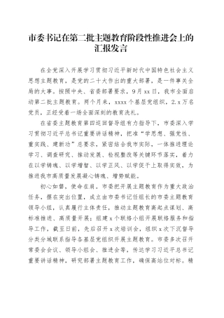 市委书记在第二批主题教育阶段性推进会上的汇报发言