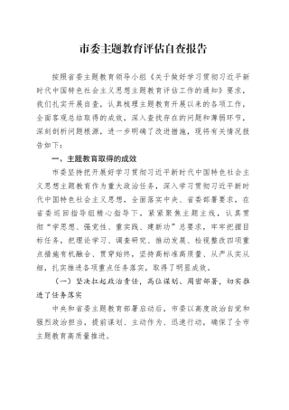 市委主题教育评估自查报告