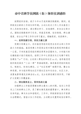 市中青班学员到镇（街）体悟实训感悟
