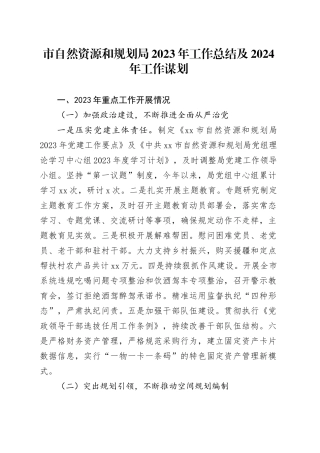 市自然资源和规划局2023年工作总结及2024年工作谋划（20240104）