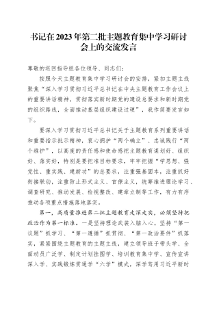 书记在2023年第二批主题教育集中学习研讨会上的交流发言