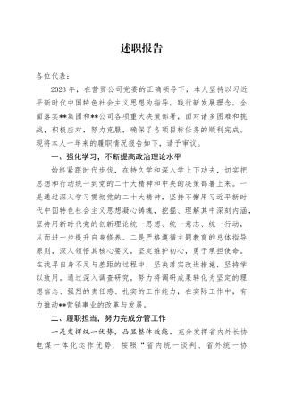 述职报告2023（李真）