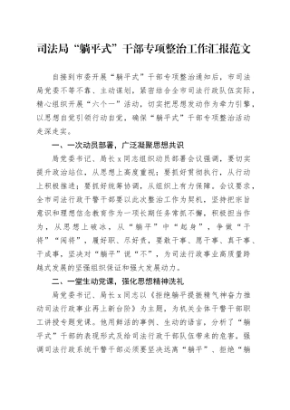 司法单位躺平式干部专项整治工作汇报局总结报告