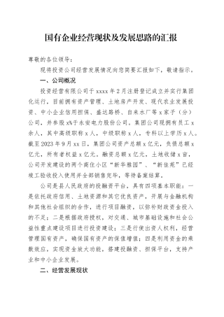 投资公司经营发展工作汇报含问题国有企业业务总结报告