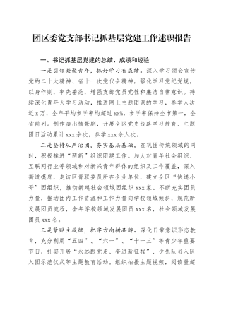 团区委党支部书记抓基层党建工作述职报告