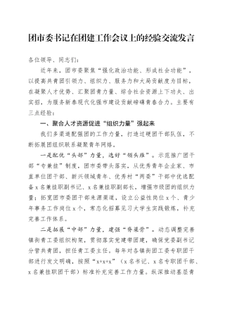 团市委书记在团建工作会议上的经验交流发言