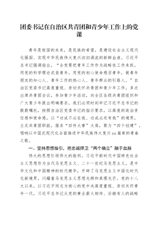团委书记在自治区共青团和青少年工作上的党课