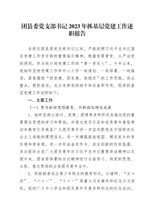 团县委党支部书记2023年抓基层党建工作述职报告