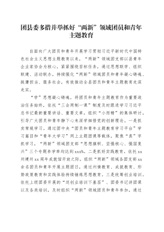 团县委多措并举抓好“两新”领域团员和青年主题教育