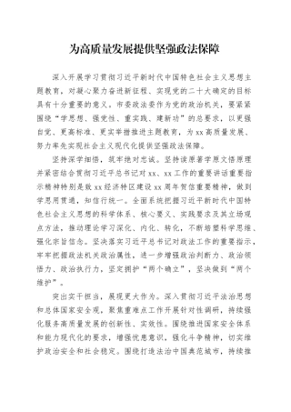 为高质量发展提供坚强政法保障