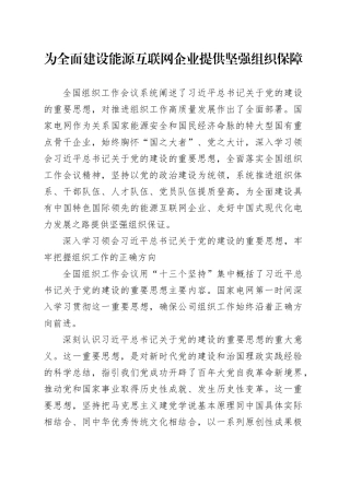 为全面建设能源互联网企业提供坚强组织保障