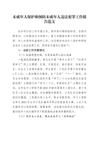 未成年人保护和预防违法犯罪工作报告总结汇报含问题市共青团