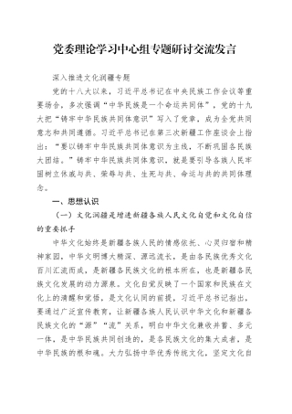 文化润疆 党委理论学习中心组专题研讨交流发言