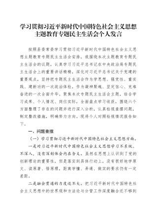 习近平新时代中国特色社会主义思想主题教育专题民主生活会个人发言