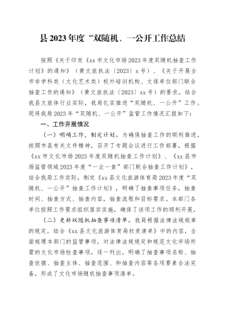 县2023年度“双随机、一公开工作总结（20231121）