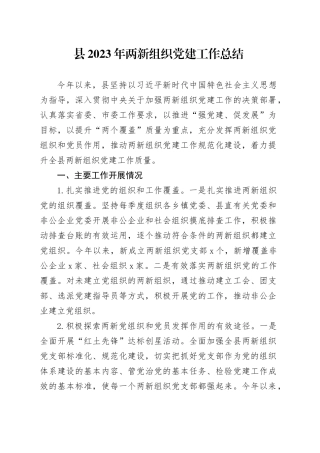 县2023年两新组织党建工作总结