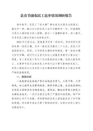县春节前农民工返乡情况调研报告
