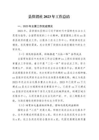 县供销社2023年工作总结（20240110）