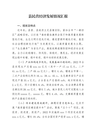 县民营经济发展情况汇报
