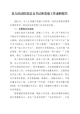 县人民法院党总支书记抓党建工作述职报告
