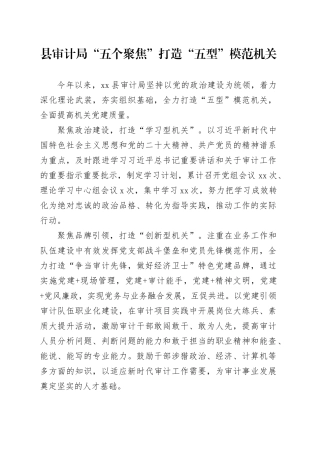 县审计局“五个聚焦”打造“五型”模范机关