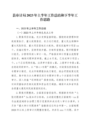 县审计局2023年上半年工作总结和下半年工作思路