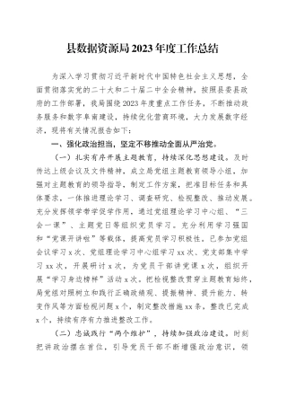 县数据资源局2023年度工作总结（20240110）