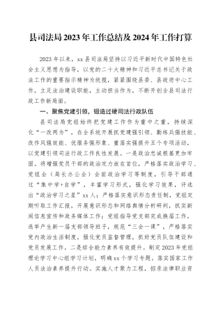 县司法局2023年工作总结及2024年工作打算（20231207）