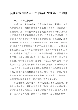县统计局2023年工作总结及2024年工作思路（20240105）