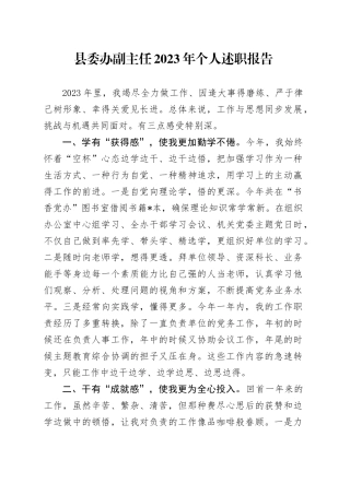县委办副主任2023年个人述职报告