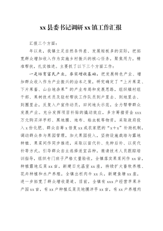 县委书记调研镇工作汇报