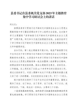 县委书记在县委机关党支部2023年主题教育集中学习研讨会上的讲话