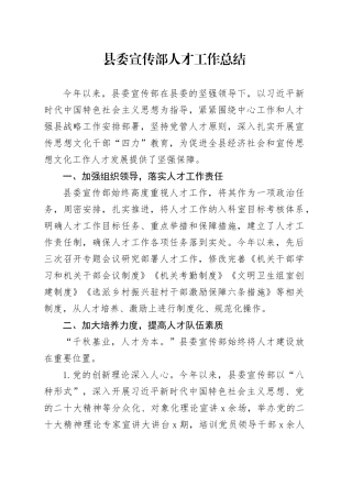 县委宣传部人才工作总结