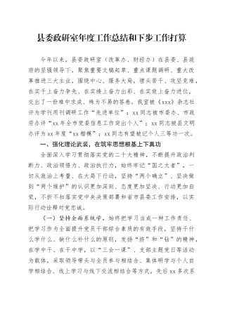 县委政研室年度工作总结和下步工作打算