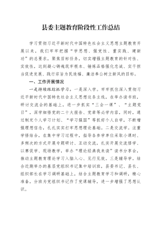县委主题教育阶段性工作总结