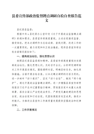 县宣传部监督蹲点调研自检自查报告工作汇报总结治