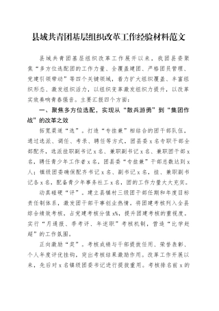 县域共青团基层组织改革工作经验材料总结汇报231208