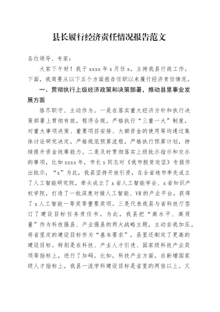 县长履行经济责任情况报告接受审计表态发言总结汇报