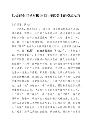县长在全市乡村振兴工作座谈会上的交流发言