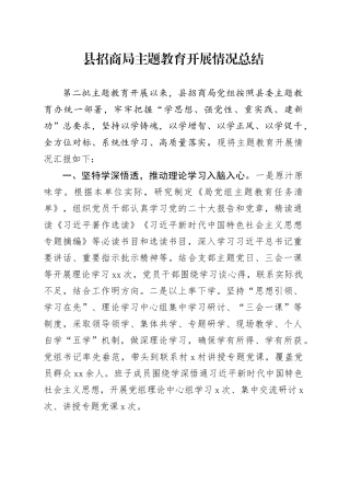 县招商局主题教育开展情况总结