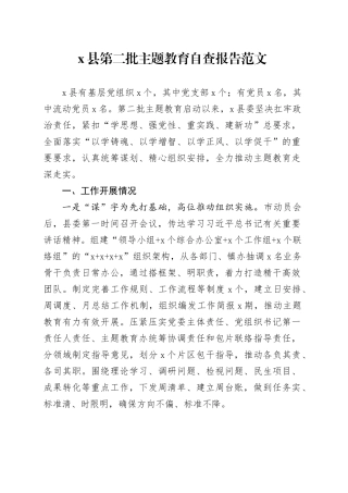 县主题教育自查报告第二批次工作汇报总结报告