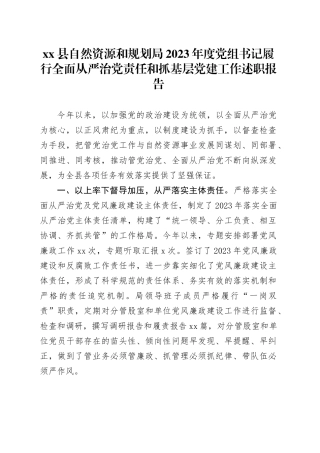 县自然资源和规划局2023年度党组书记履行全面从严治党责任和抓基层党建工作述职报告