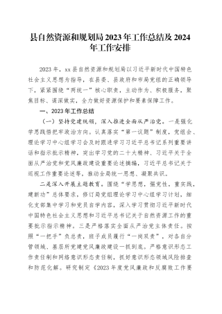县自然资源和规划局2023年工作总结及2024年工作安排